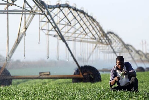 Long Ping High-Tech Agriculture Co has initiated a series of training programs across Africa. ZHANG WEI/CHINA DAILY  