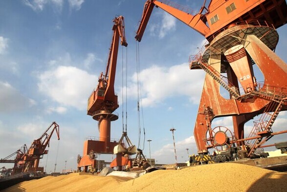 Imported soybeans are offloaded in Nantong Port, Jiangsu province. China imported 34.2 million metric tons of the crop in the first half of 2014, mainly from the United States. Xu Congjun / For China Daily  