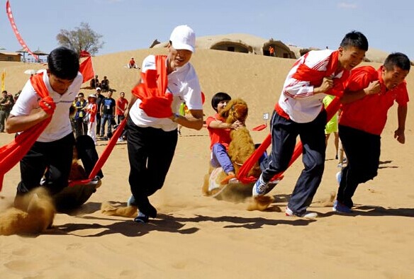 Athletes pull fake camels, ridden by teammates, in a race on Sept 2, 2014 during the second Chinese Desert Sports Games in the city of Zhongwei, Northwest China's Ningxia Hui autonomous region. The games will run through Sept 5.[WANG HUAZHONG/CHINA DAILY]  