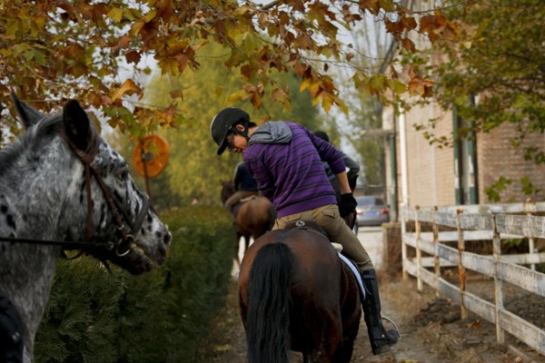 Horses and riders at an equestrian club in Beijing. CHINA DAILY 
