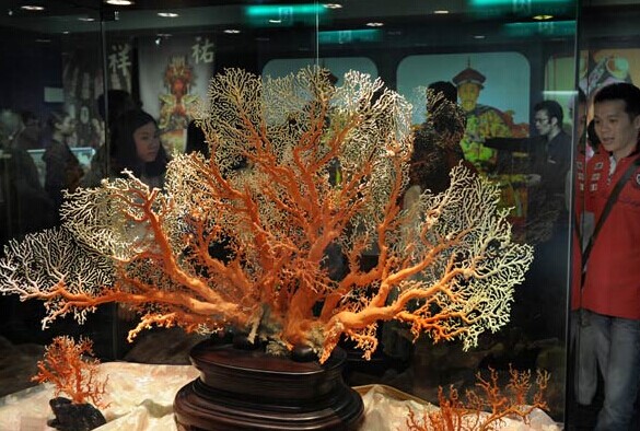 Tourists from the Chinese mainland visit a coral museum in Taipei. Destinations in Asia continue to dominate online searches by mainland tourists in the upcoming Golden Week.XINHUA  