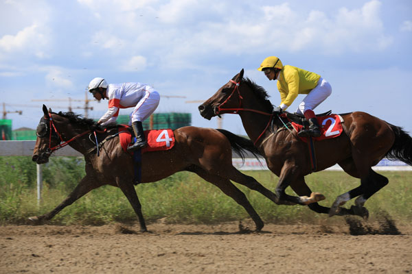 Horse-racing events are held regularly in Inner Mongolia, which boasts China's best grassland and breeds world-famous Mongolian horses. Racing rules are similar to those of Hong Kong.[Jian Jun/China Daily]