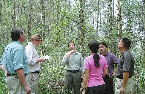 Fenglin Group officials introduce a tree plantation project to International Finance Corporation representatives in Nanning, Guangxi Zhuang autonomous region. CHINA DAILY  