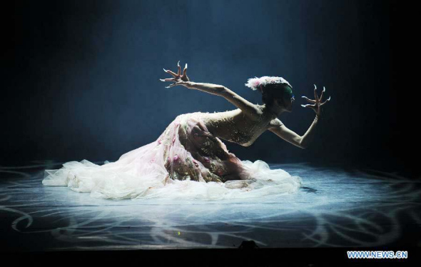 Chinese dancing master Yang Liping performs in her dance drama The Peacock during the first Yang Liping International Dance Festival in Kunming, capital of southwest China's Yunnan province, Dec 19, 2013.[Photo/Xinhua]