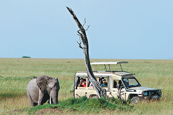 The Maasai Mara National Reserve in Kenya is an exotic locale in Africa that Chinese tourists are eager to visit. [Photo / Provided to China Daily]