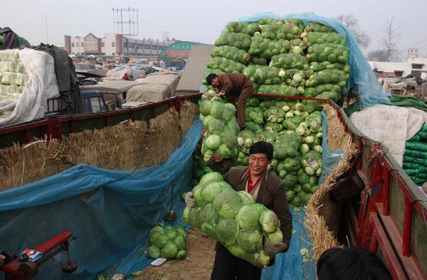 Farmers unloading cabbages from a truck in Xinfadi vegetable wholesale market in Beijing. [Photo/China Daily]