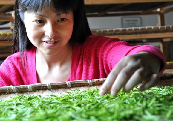 A woman sorts tea in Wuyuan county, Jiangxi province. Last year, the value of Chinese tea exports experienced moderate growth of 2.1 percent to reach $1.27 billion, according to the Chinese Chamber of Commerce of Foodstuffs and Native Produce. (Photo/Provided to China Daily)