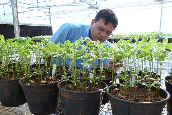 A COFCO seed center in the Netherlands. The company has more than 10,000 employees from more than 70 nations and regions working in overseas markets. (Photo/Xinhua)
