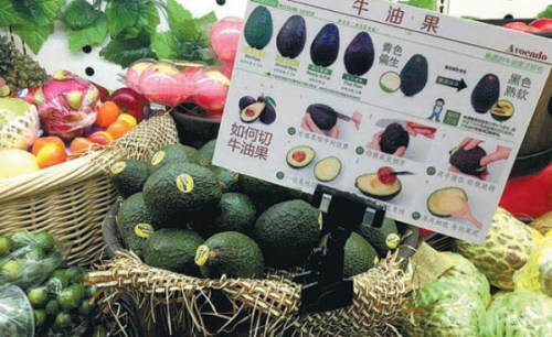 Everything you needed to know about avocados in a Chinese supermarket. (Photo/China Daily)