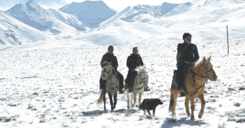 Bank clerks on their way to Ngari prefecture in the Tibet autonomous region to visit clients on horseback. They travel to agree loans or collect repayments no matter what the weather is like. The region is 4,500 meters above sea level. (Photo/China Daily)