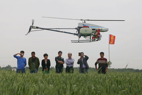 A drone is spraying crops with fertilizer. (Photo/China Daily)