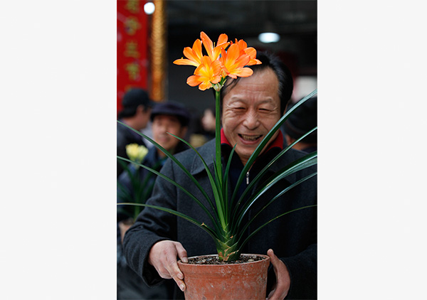 A local resident in Changchun, capital of Jilin province, holds a clivia flower, which he cultivated for 15 years, at the 8th Clivia Festival in the city. (Photo provided to China Daily)