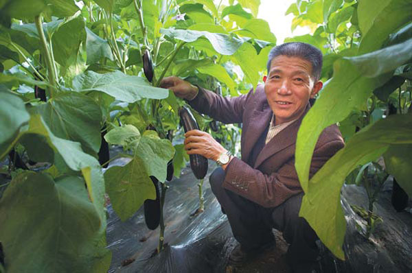 Rijk Zwaan, a Dutch vegetable seed company, introduces new varieties and transfers knowledge about cultivation and marketing to help growers create extra value. (Photo provided to China Daily)