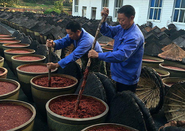 Workers process hot pepper sauce at Yiliuxiang Food Co in Shizhu county, Chongqing. The company is one of the beneficiaries of the poverty relief financial programs. (Photo: China Daily/Tan Yingzi)