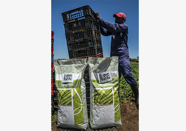 A farmer stacks collection baskets near sacks of Syngenta beans at a farm near Johannesburg. Photo provided to China Daily
