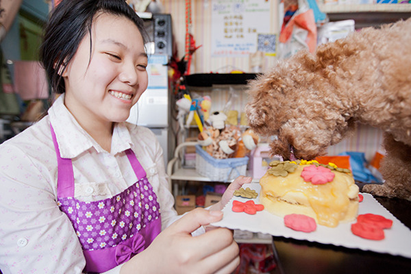 A baker holds a pet birthday cake made for her customer's dog in Changchun, Jilin province. It takes the baker about three hours to make the cake, priced around 100 yuan ($15). (Photo/China Daily)