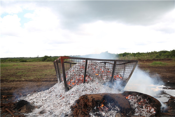 The 1.3 tons of rhino horn was still being burned on Thursday. Photo Hou Liqiang/China Daily