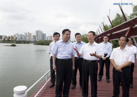 Chinese Vice Premier Zhang Gaoli (C front) inspects the eco-restoration and environmental protection work in Sanya, south China's Hainan Province, May 24, 2016. Zhang made an inspection tour in Jiangxi and Hainan from May 23 to 25. (Photo: Xinhua/Wang Ye) 