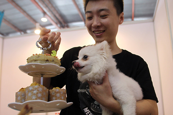 A dog looks at a birthday cake at an expo in Beijing. (Photo/China Daily)