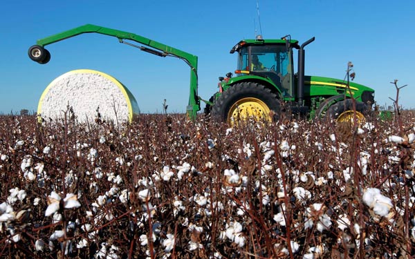 A cotton plantation of Chinatex Corp in Australia. (Photo/Xinhua)