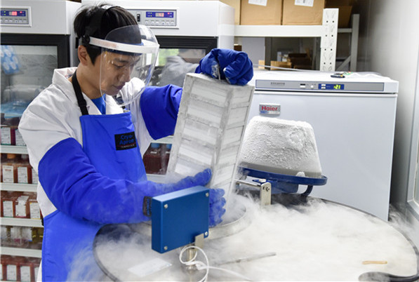 A scholar at the China National GeneBank puts gene samples into liquid nitrogen for preservation.(XINHUA)