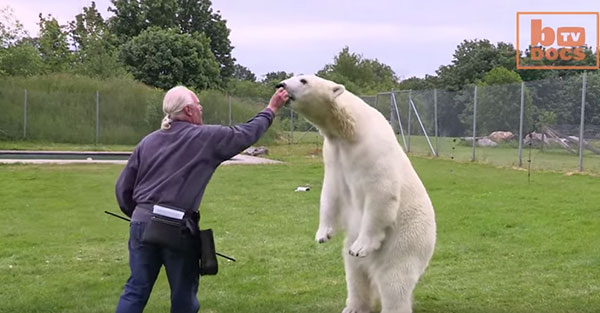 A screenshot from Barcroft's Youtube Channel.