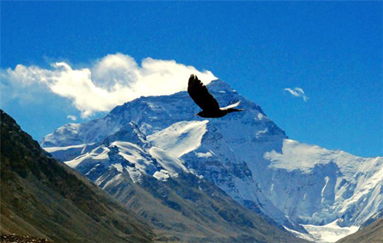 The photo of Qomolangma is taken in Tibet autonomous region on Oct 29, 2016. The 8,844.43-meter-high Qomolangma, located on the border of China and Nepal, is the world's tallest peak. (Photo/Xinhua)