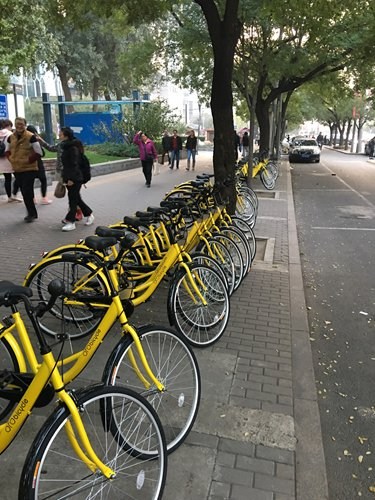 Ofo's eye-catching yellow bikes stand lined up in the Sanlitun neighborhood of Beijing, on October 25. Photo: Zhang Ye/GT