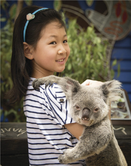 Australia has been gaining popularity among Chinese visitors, who have surpassed New Zealanders to become the top spenders. (Photo provided to China Daily)