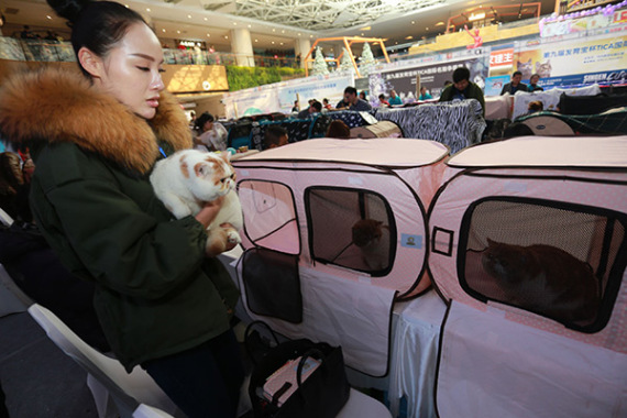 A woman holds her pet while choosing goods at a show in Zhengzhou, Henan province. (Photo/China Daily)