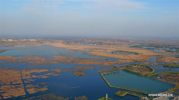 Aerial photo taken on March 31, 2017 shows Baiyangdian, north China's largest freshwater wetland, in Anxin County, north China's Hebei Province. (Xinhua/Wang Xiao)