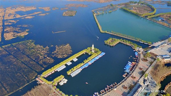 Aerial photo taken on March 31, 2017 shows Baiyangdian, north China's largest freshwater wetland, in Anxin County, north China's Hebei Province. China announced Saturday it would establish the Xiongan New Area in Hebei Province, as part of measures to advance the coordinated development of the Beijing-Tianjin-Hebei (BTH) region. The New Area, about 100 km southwest of downtown Beijing, will span three counties that sit at the center of the triangular area formed by Beijing, Tianjin and Hebei's provincial capital Shijiazhuang. (Xinhua/Yang Shiyao)