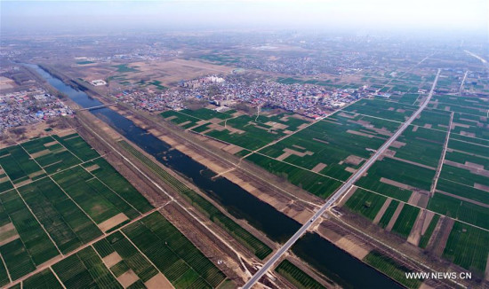 Aerial photo taken on April 1, 2017 shows farmland in Rongcheng County, north China's Hebei Province. (Photo/Xinhua)