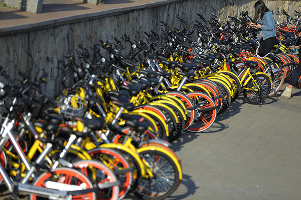 Bicycles of Mobike and Ofo, two major bike-sharing service providers in China, are parked outside a park in Shenzhen, Guangdong province. (Lai Li/For China Daily)