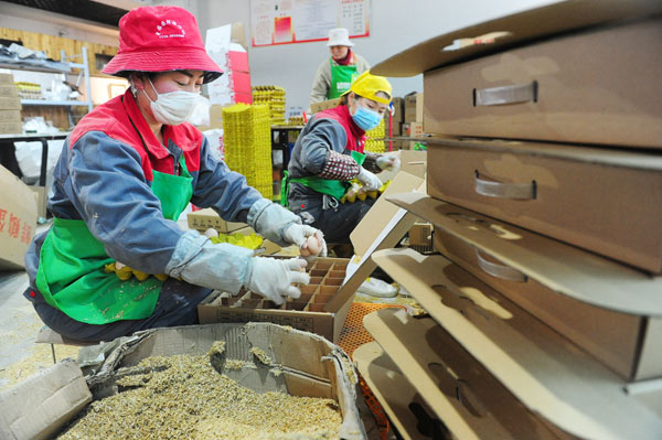 Workers pack fresh eggs for online sales in Fuyang, Anhui province. (Photo by Wang Biao/For China Daily)
