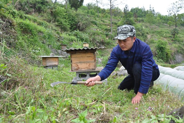 Long Xianlan removes weeds from land on which he plans to plant flowers for his bees. Liu Xiangrui / China Daily