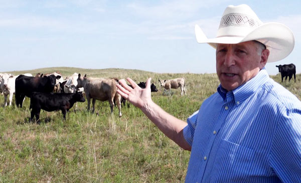 Rancher Jay Wolf of Bartlett, Nebraska, shows off some of his cattle. (Photo by Amy He/China Daily)
