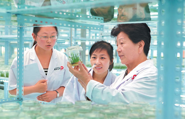Technicians observe grass growth at a M-Grass' lab in Hohhot, North China's Inner Mongolia autonomous region. (Photo provided to China Daily)