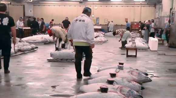 (Photo/Video screenshot from CGTN)