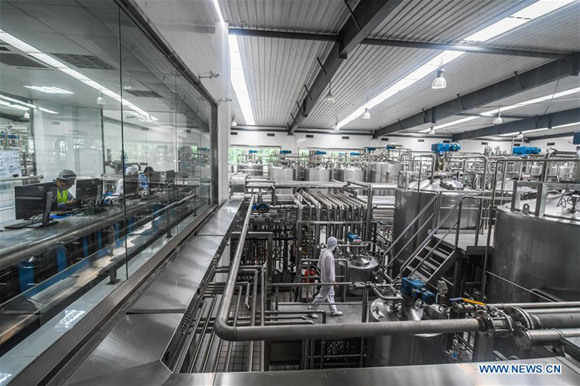 A worker checks a production line of dairy products at a company in Pingyang County of Wenzhou City, east China's Zhejiang Province, June 22, 2017. China's gross domestic product expanded 6.9 percent year on year in the first half of the year to about 38.15 trillion yuan (5.62 trillion U.S. dollars), data from the National Bureau of Statistics (NBS) showed Monday. (Xinhua/Xu Yu)
