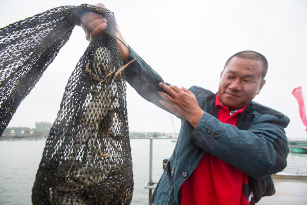 A fisherman with a net of hairy crabs at Yangcheng Lake, Suzhou, East China's Jiangsu province. (Photo provided to China Daily)