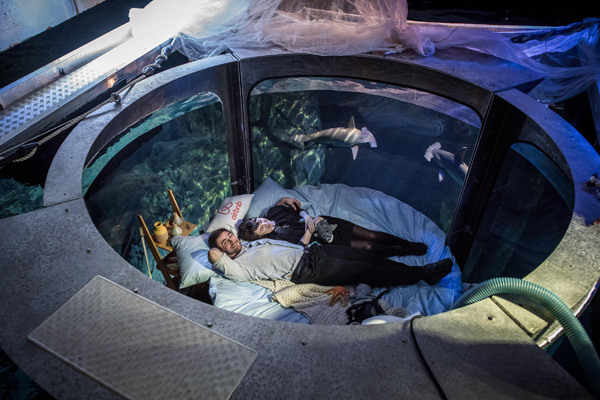 A couple who won a competition on the Airbnb accommodation site lie in an underwater bedroom surrounded by a shark tank at the Aquarium de Paris in France. (Photo by Philippe Lopez/For China Daily)