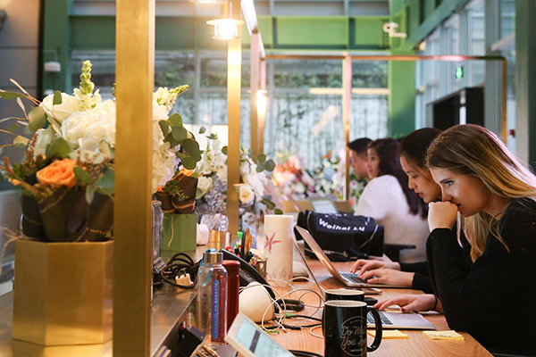 Young professionals at work at a co-working space of WeWork in Shanghai. This facility was rebuilt on a traditional English-style building, and is WeWork's flagship in Shanghai. (Photo/Xinhua)