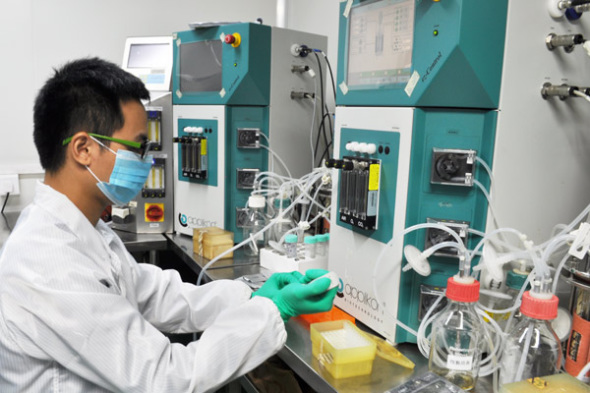 A Bio-Thera Solutions researcher works in a laboratory. The company is one of the beneficiaries of Guangzhou's rich talent pool. (Photo provided to China Daily)
