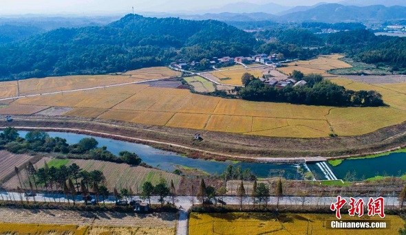 Aerial picture taken on Nov. 5, 2017 shows a farm in Xinyu City, SE China's Jiangxi Province. (Photo/Chinanews.com)