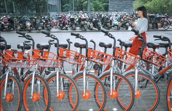 Mobikes are lined up on a street in Zhengzhou, the capital of Henan province. (Photo/China Daily)