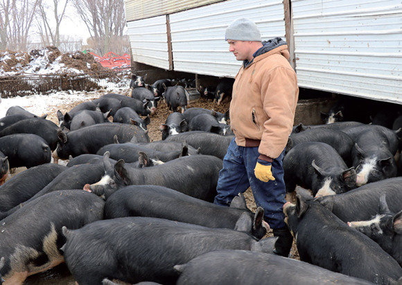 Pork farmers want leaders to talk