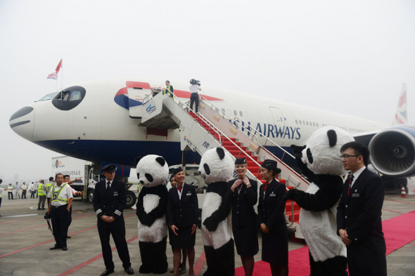 这张档案照片显示，一架英国航空公司的飞机降落在成都双流国际机场后，印有熊猫般的黑白色彩。 其工作人员受到当地工作人员的热烈欢迎，当地工作人员身着熊猫吉祥物。 （照片提供给中国日报）