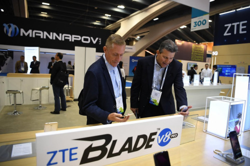 ZTE woes may prove growth opportunity