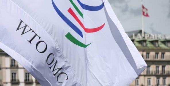 WTO members voice concerns over rising trade tensions